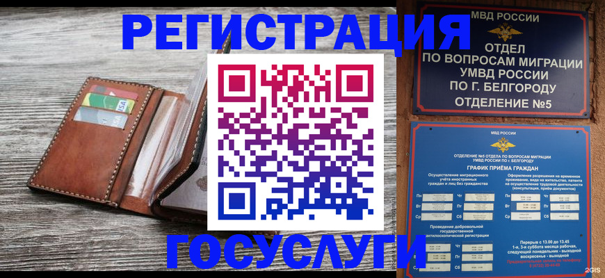 временная регистрация гарантия в Бакале